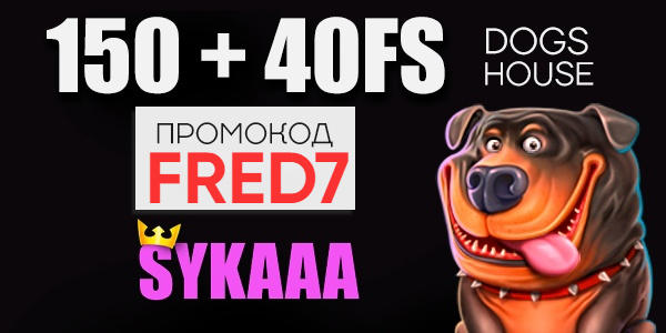 сука казино